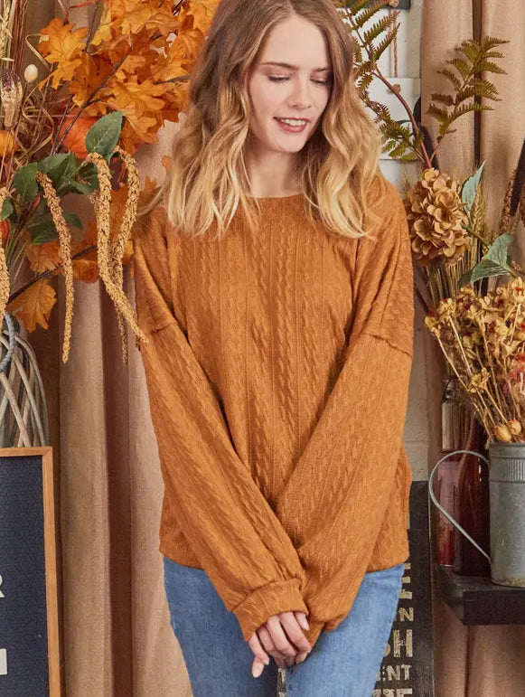 Plus Size Textured Sweater Knit Top