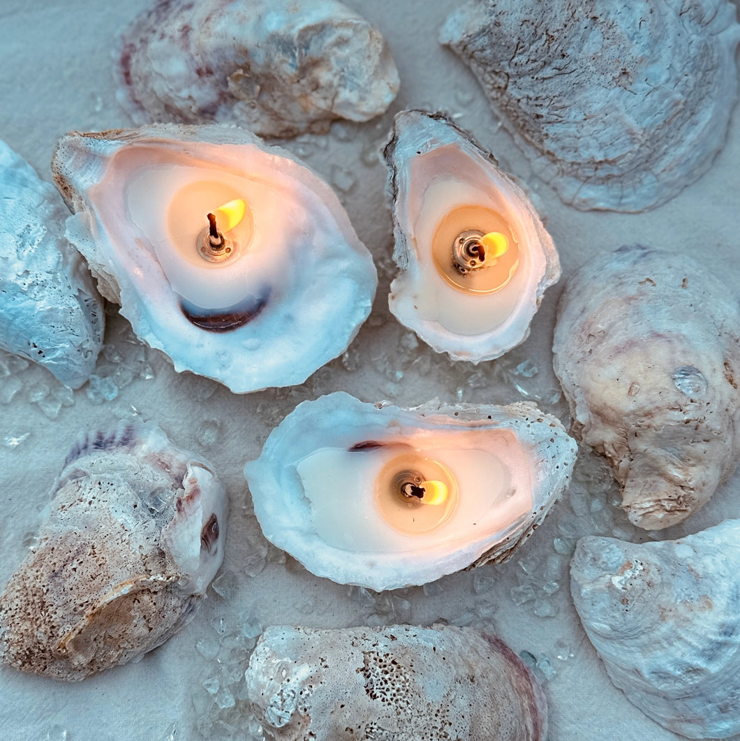 Local Handmade Oyster Candle